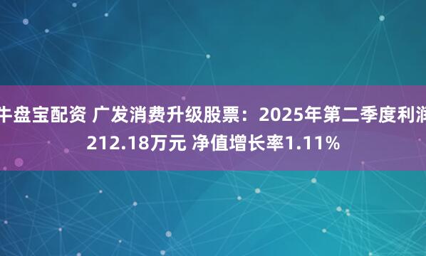 牛盘宝配资 广发消费升级股票：2025年第二季度利润212.18万元 净值增长率1.11%