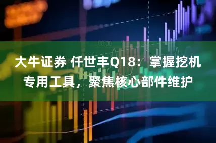 大牛证券 仟世丰Q18：掌握挖机专用工具，聚焦核心部件维护